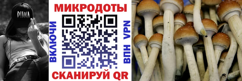 где купить наркоту  Североуральск  Галлюциногенные грибы Magic Shrooms 
